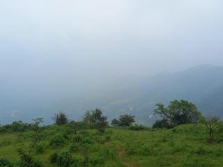 Green Valley Homestay,Mahabaleshwar - Mahabaleshwar - 1
