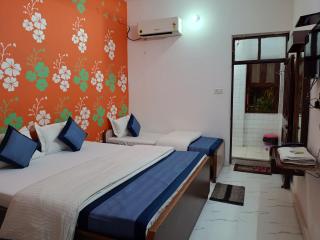Hotel Majors Den - New Delhi - 9