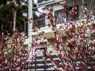 Villa Dante - walk to town - brand new town house - 9