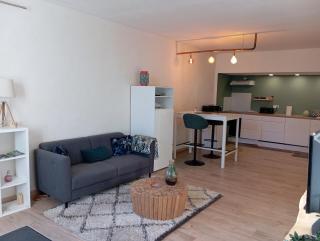 appartement hôtes entier Millau Compeyre - Compeyre - 8