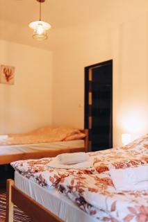 Kacor Guesthouse - Lunca de Sus - 6