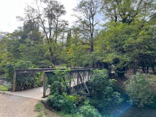 La maison du pont vieux - emplacement de parking gratuit - Proche Cité médiévale - 7