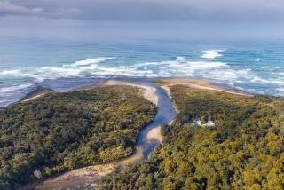 Waitutu Forest Lodge - - 6