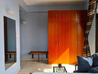 Upanga Modern Apartment - 1