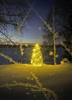 Stella Borealis - Rovaniemi - 5