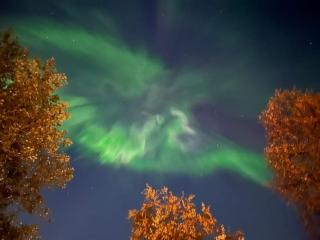 Stella Borealis - Rovaniemi - 3