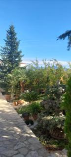 Apartment Maria - Supetar - 6