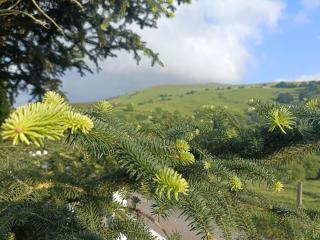 Casa rural La Corona - 8