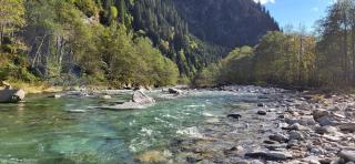 Splendido attico per chi ama escursioni nella natura - Grono - 7