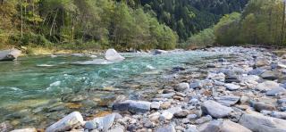 Splendido attico per chi ama escursioni nella natura - Grono - 8