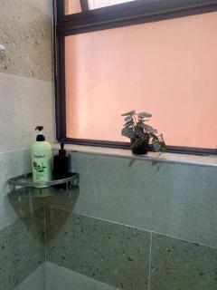 Modern cozy 2 bedroom in Kileleshwa, with a gym, 3 mins to Arboretum - Whatsp O7974I77OO - Nairobi - 6