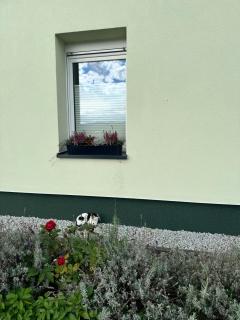 Viridi - Radomierz - 1