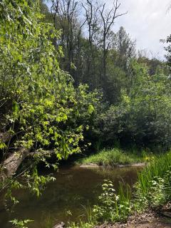Bon Accord - Ascochinga - 9