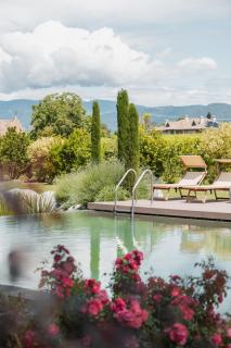 Hotel Girlanerhof - Appiano sulla Strada del Vino - 8
