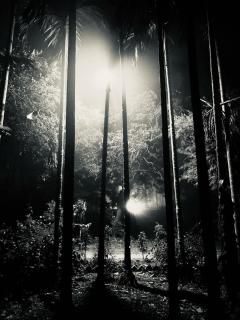 Himmat Guri Farmstead - Great place to chill with family - 9