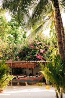 Lagoon Villa Maldives - 2