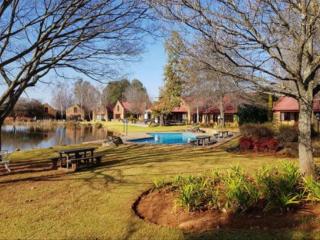 Critchley Hackle Lodge - Dullstroom - 9