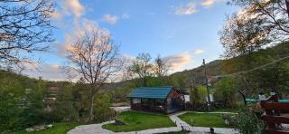 Cabana Pietrar - Feneş - 3