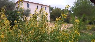 Domaine en pleine nature et tout près de la plage - Sanary-sur-Mer - 9