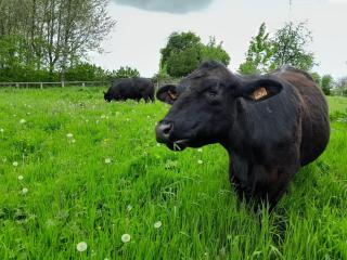 Gîte du Grand Val - 7