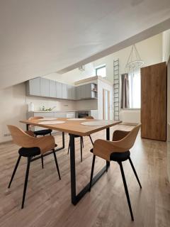 Radbuza Apartment - Plzeň - 0
