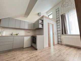 Radbuza Apartment - Pilsen - 1