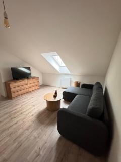 Radbuza Apartment - Plzeň - 4
