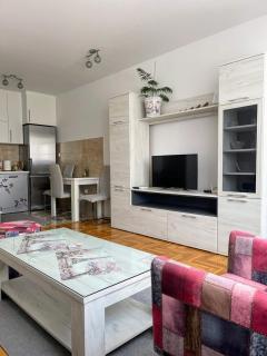 Apartman Hilandarska - Lukavica - 6