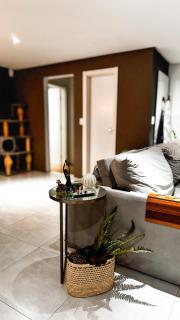 Apartamento Oktoberfest - Blumenau - 5