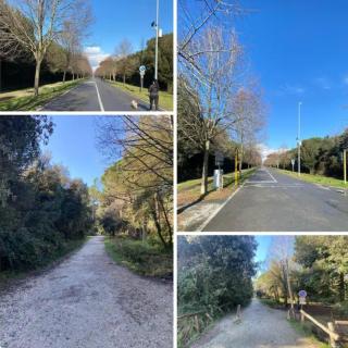 Appartamento pineta - Viareggio - 1