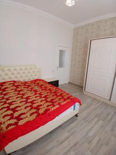 Spacious 4-Bed Country Getaway Home - Baku - 7