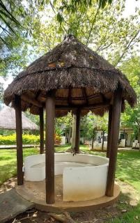 La Casa de Leo Recamara 1 Villa Cardiell QROO - Playa del Carmen - 7