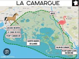 Instant insolite dans un bateau aux portes de la Camargue - 3