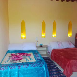 Tunis Camp - Tunis - 2