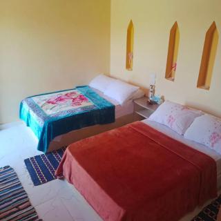 Tunis Camp - Tunis - 9