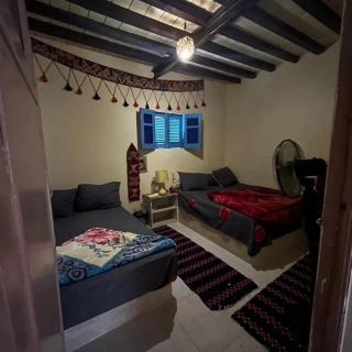 Tunis Camp - Tunis - 5