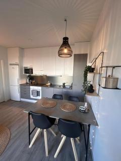 Luxurious Apartment - Rovaniemi - 8