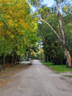 La Feliz Casa&Bosque - Mar del Plata - 8