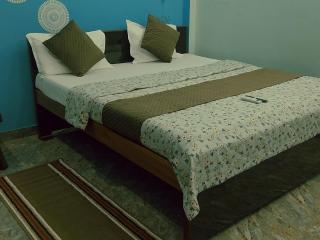 Krishna ji paying guest house - 8