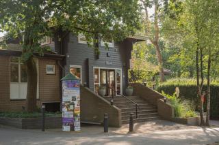 Wild Flower Wellness met Hot Tub en Sauna in prachtige tuin en overkapping - Hoenderloo - 1
