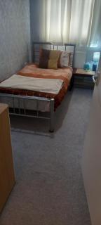 Bedroom in shared ground floor massionette, Leicester - Leicester - 2