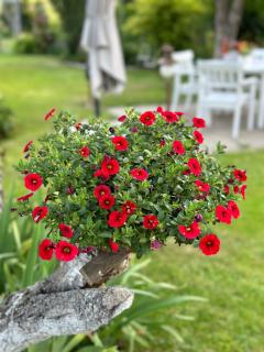 Noclegi Centrum Fiszer - 4