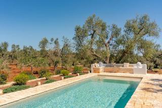 TRULLO DEL MORO - Casa vacanze in Valle d'Itria - 2