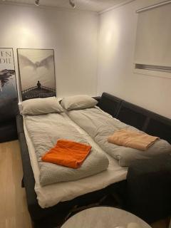 Trondheim sentrum, Lade - Nyhavna, gratis parkering - 1