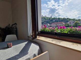 FeWo Alte Mainbrücke - Würzburg - 7