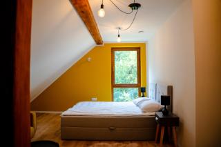 Wilczy Apartament - - 6