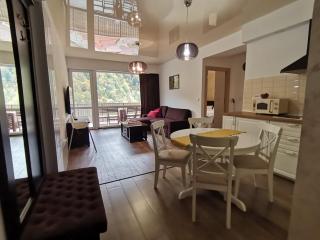 Amazing Brownie by Miro Apartment - Sinaia - 1