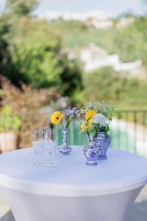 Villa Les Roches - 7