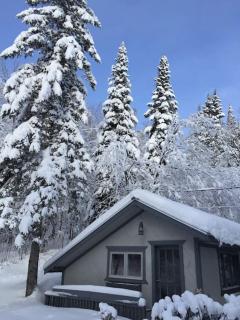 Ty-Llyn - Lakeside Spa Retreat - Sainte-Lucie-de-Doncaster - 9