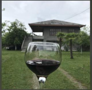 Tazos Winery guest house - Abasha - 9